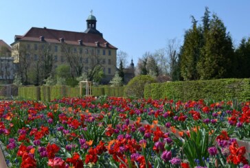 Schlosspark Zeitz. Blühender Gartentraum.
