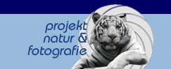 projekt natur & fotografie