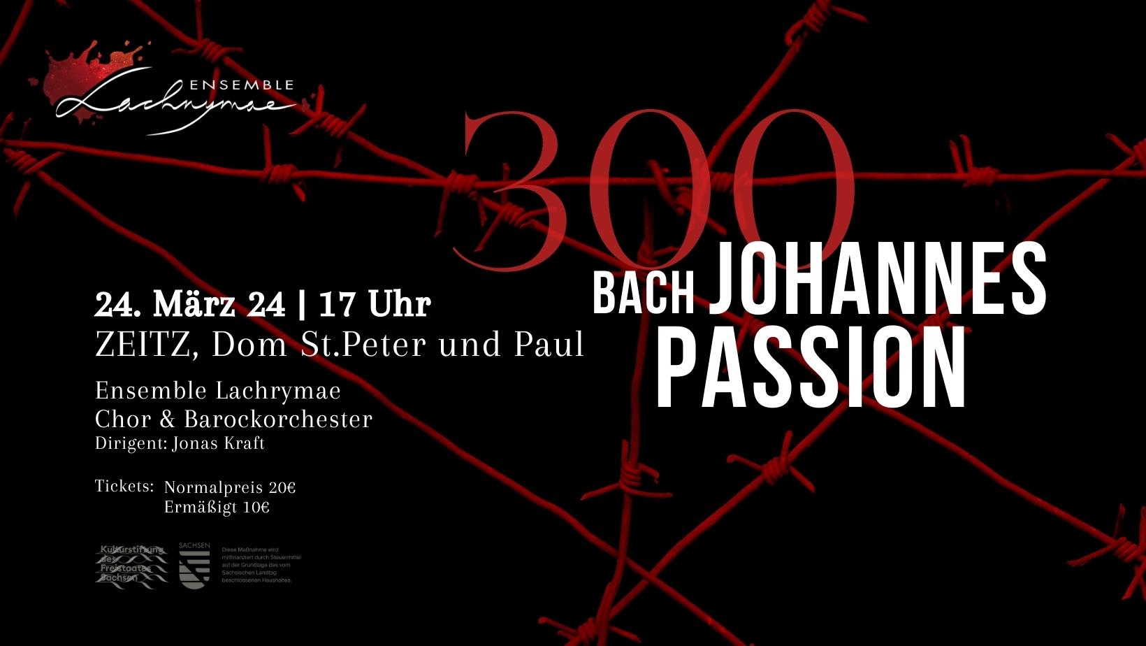 BACH JOHANNES PASSION › Zeitz Online